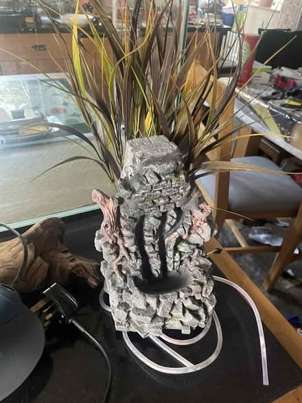Photo of free Fish tank and stuff (Rackheath NR13) #2