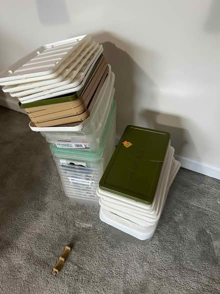 Photo of free 25. Used shoe storage boxes (Jersey Tomato Pies) #1