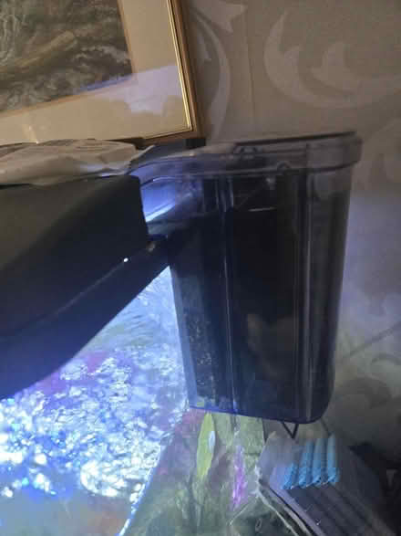 Photo of free Tropical fish. Tank (Craven arms) #2