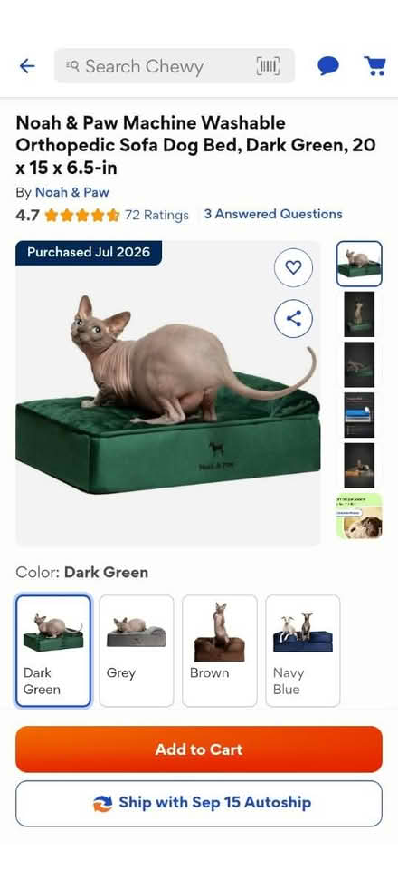 Photo of free Small orthopedic dog bed (Erie) #1