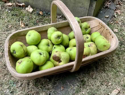 Photo of free Apples (cooking and eating apples) (Hatfield AL10) #2