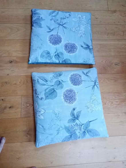 Photo of free 2 large cushions (Garden City OX5) #1