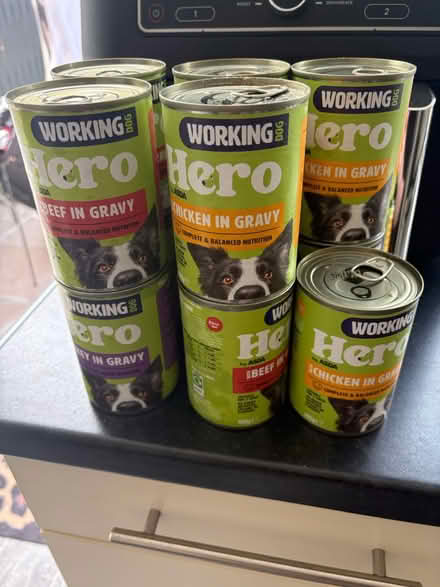 Photo of free Dog food (Axminster) #1