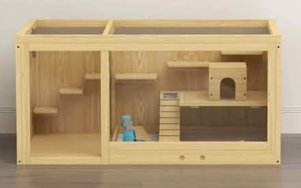Photo of Gerbilarium (SW11) #1
