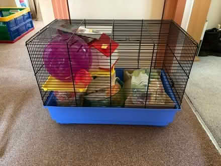 Photo of free Hamster cage (Eastbourne BN20) #1