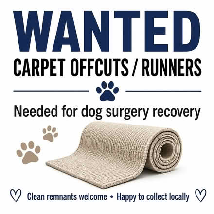 Photo of Carpet offcuts/runners for dog surgery recovery (Eynsham OX29) #1