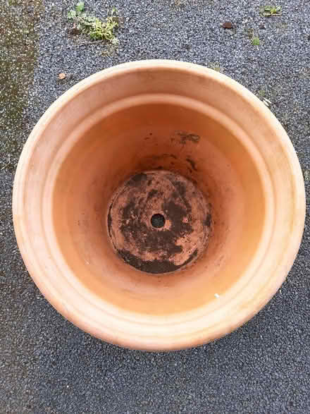 Photo of free Large Ceramic Pot (Blackrock) #2