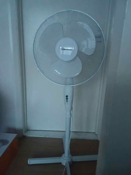 Photo of free Pedestal Fan (Chantry IP2) #1