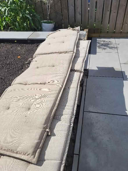 Photo of free Steamer cushions (Burton-in-Kendal LA6) #1