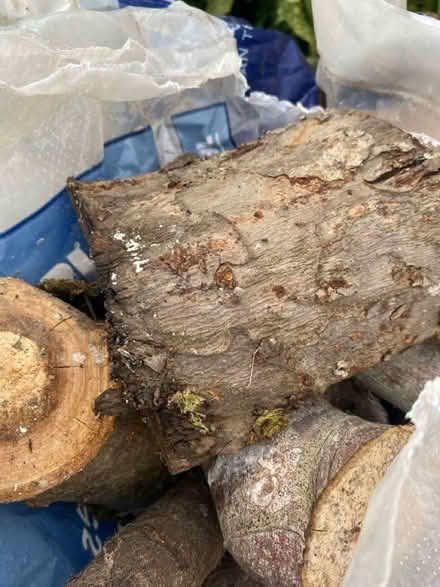 Photo of free Logs (BA2) #1