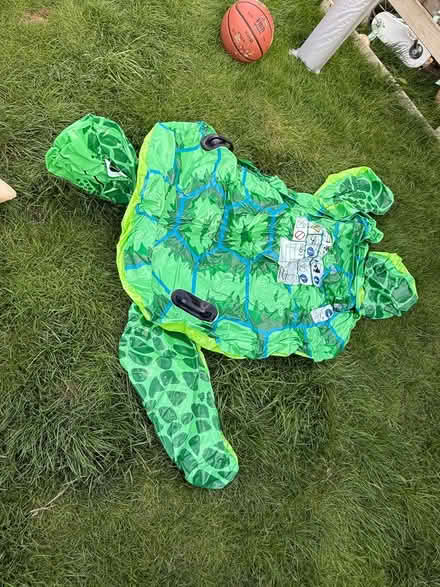 Photo of free Turtle pool float (Willingdon BN22) #1