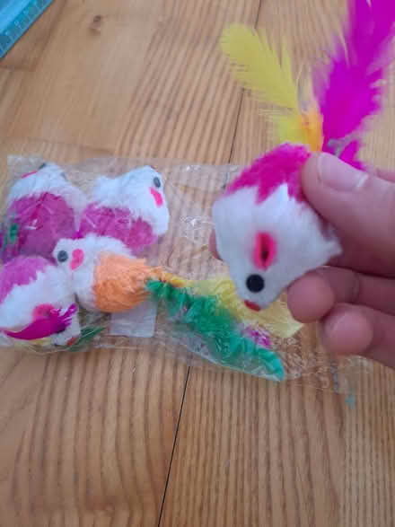 Photo of free Cat toys (Rotherhithe SE16) #2