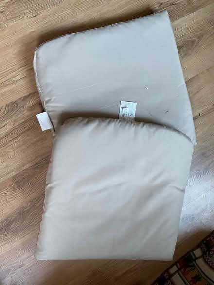 Photo of free 2 Garden chair cushions (Downham BR1) #2