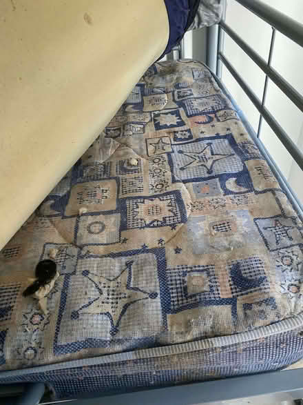 Photo of free One Single And One Double Mattress (Chatham ME4) #2