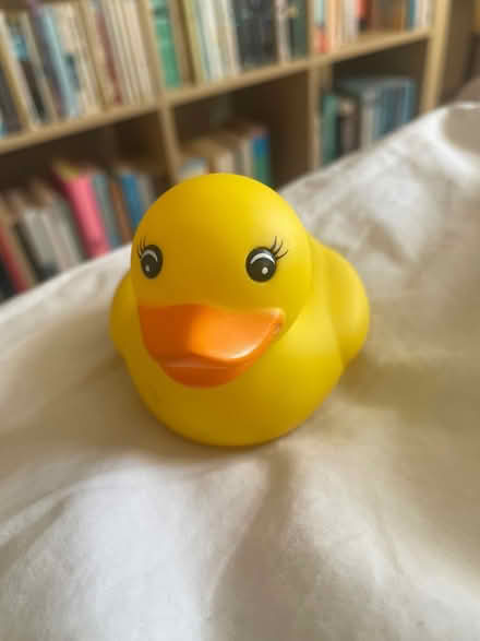 Photo of free Bath thermometer (Abingdon OX14) #1
