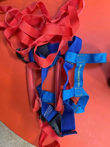 Photo of free Harness+ leash for skiing with kid (Central cambridge CB1) #1