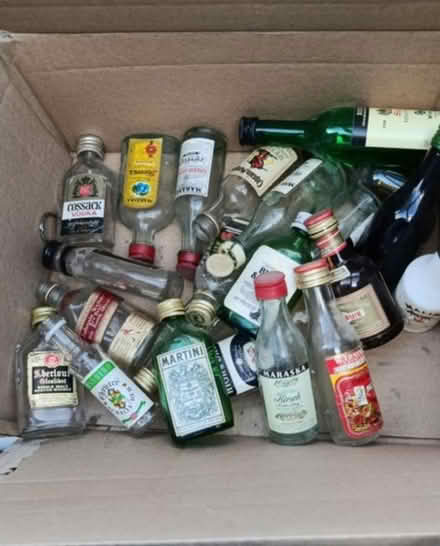 Photo of free Miniature bottles (Bullbrook, Bracknell RG12) #1