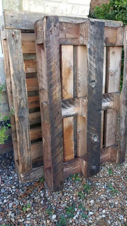 Photo of free Pallets (Blunham MK44) #2