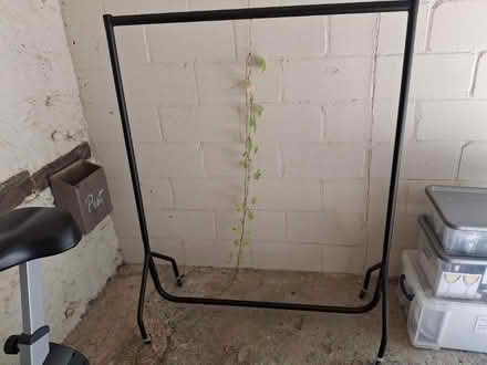 Photo of free Collapsible hanging rack (Forest Green near Dorking) #1