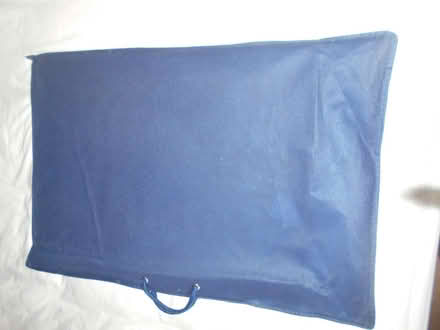 Photo of free A2 carrying bag for artwork (Maiden Erlegh Nature Reserve RG6) #2