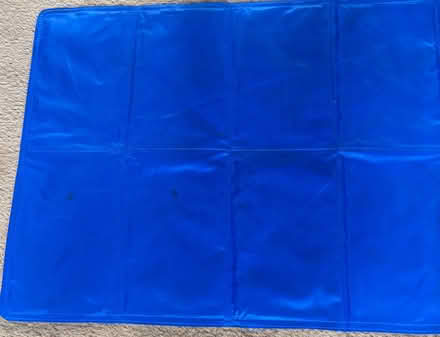 Photo of free Pet cooling pad (Downswood ME15) #1