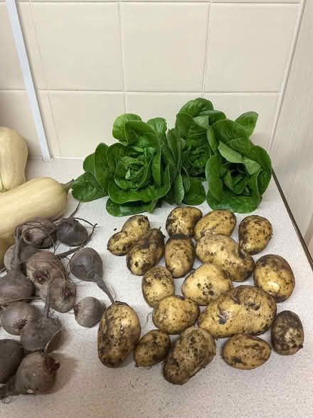 Photo of free Fresh organic garden produce (Hyde Park LS6) #2