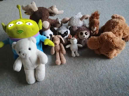 Photo of free Soft toys (Bloomfield BA2) #1