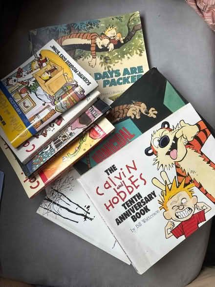 Photo of free Calvin and Hobbes books (Sanderstead CR2) #1