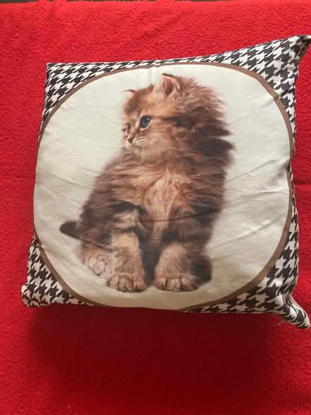 Photo of free Kitten cushion (Willingdon BN22) #1