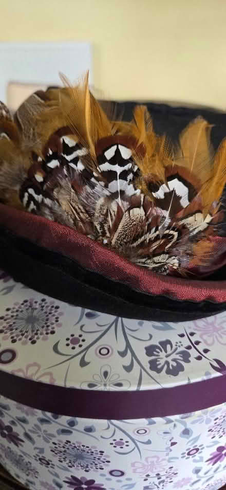 Photo of free Victoriana Style Hat With Feathers In Hat Box (Shipley BD18) #2