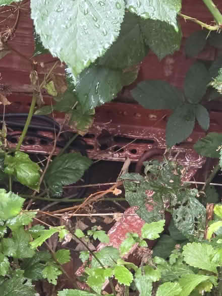 Photo of free Trailer (Grantham) #3