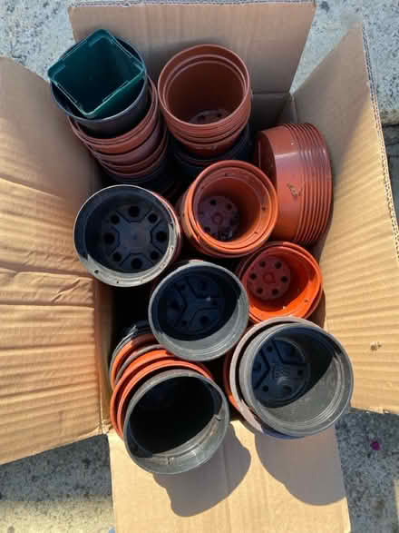 Photo of free Mixed box of plant pots (Ipswich IP4) #2