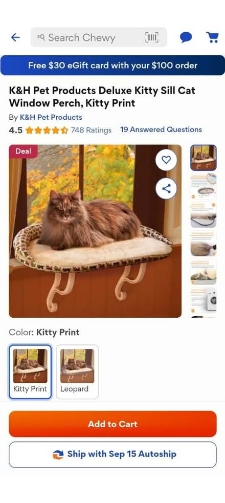 Photo of free Kitty window sill perch (Erie) #1