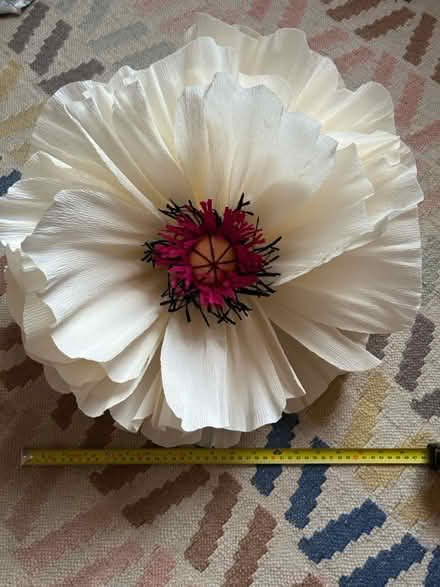 Photo of free Large flower (Warminster BA12 8DG) #1