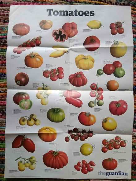 Photo of free 2 large posters (Manor Road N17) #1