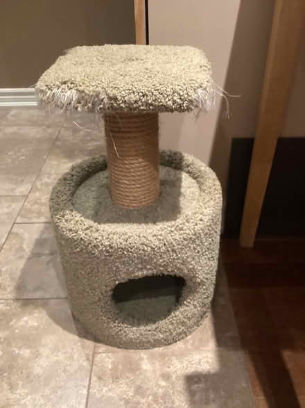 Photo of free Cat stand and scratch post (Appleby/New Street, Burlington) #1