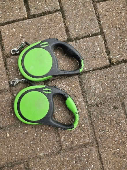 Photo of free 2 No. Dog leads (Sunniside NE16) #2