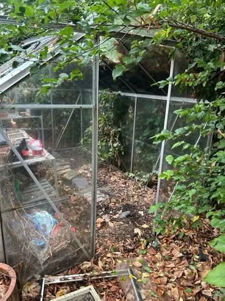 Photo of free Greenhouse (West Bridgford NG2) #3