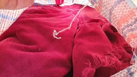 Photo of free Red velvet / velour material (Preston Road BN1 6) #1