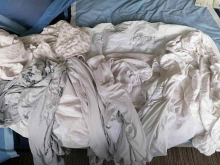 Photo of free Cot fitted sheets (Hartwood Green PR7) #1