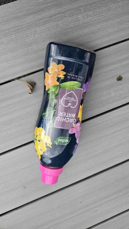 Photo of free Orchid water (Cheltenham GL53) #1