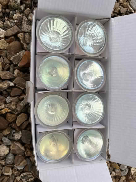 Photo of free Halogen bulbs (TA18) #2