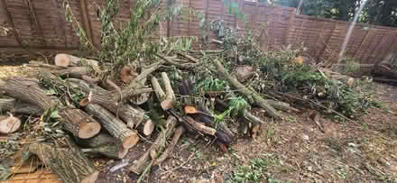 Photo of free wood (Wendover HP22) #1