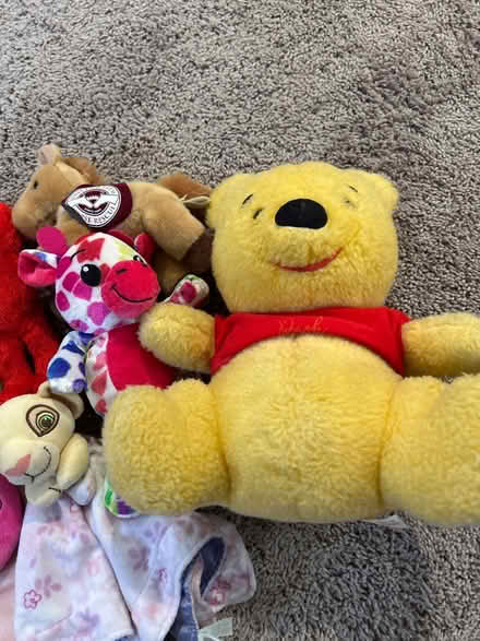 Photo of free Lot of stuffed animals (Owings Mills,MD) #3