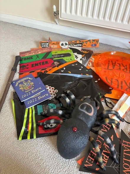 Photo of free Bundle of Halloween bits and pieces (Greenstead CO4) #2