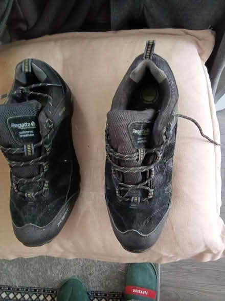 Photo of free New traners (Sandford on thames OX4) #1