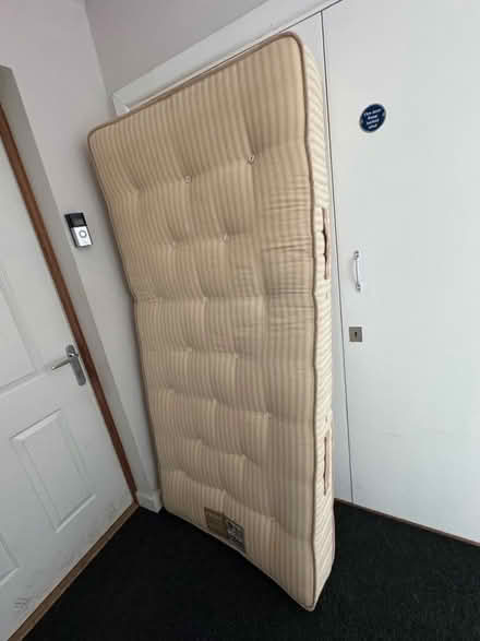 Photo of free Dreams single mattress (West Hampstead NW6) #1