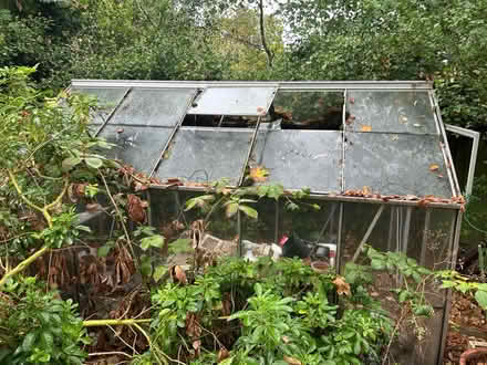 Photo of free Greenhouse (West Bridgford NG2) #2