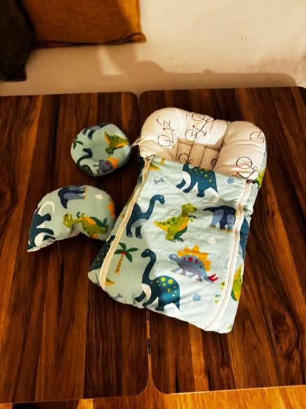 Photo of free Small Baby Nest – Dinosaur Design (Waltham Cross EN3) #2