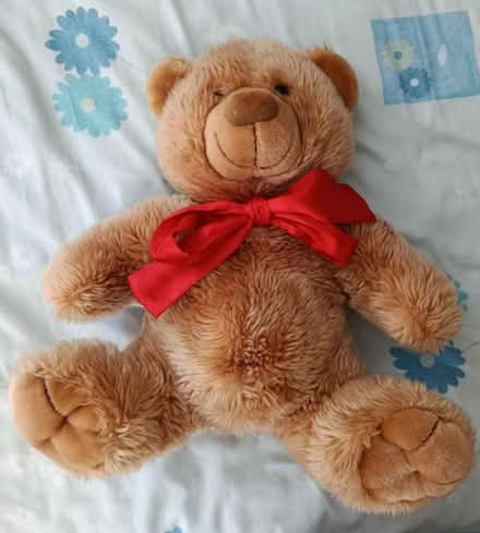 Photo of free Teddy bear (Bullbrook, Bracknell RG12) #1